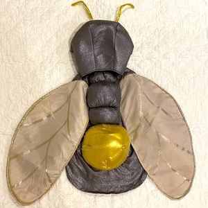 Pottery Barn Kids Light Up Firefly Costume Size 4-6